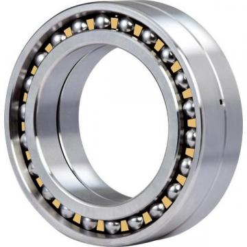 313SF MRC Single Row Ball Bearing