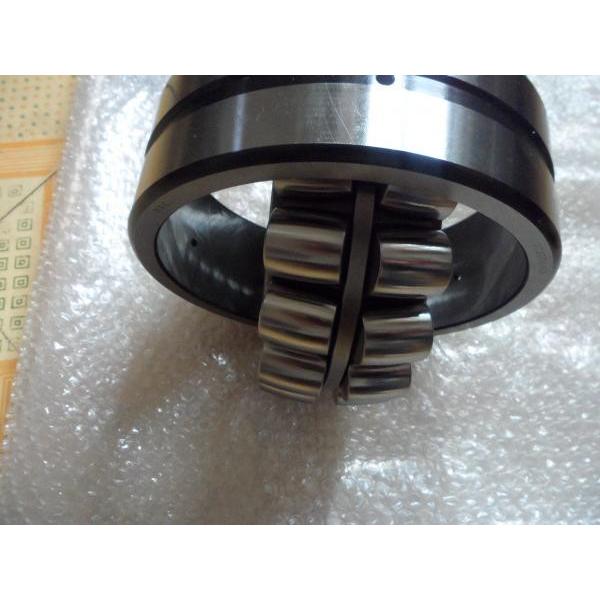 NNF5005ADA 2LSV (Sealed Double Row Full Comp Roller Bearing)  #1 image